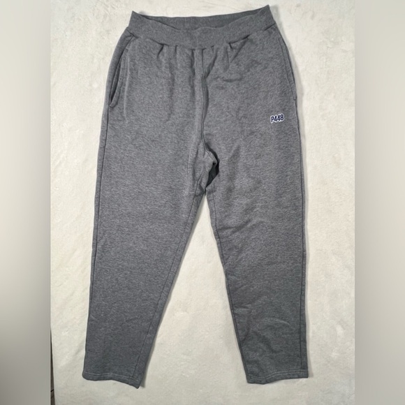 P448 Made in Italy Size Small ‘You Can Surf Later’ Sweatpants Soft Gray Jogger - Picture 1 of 12